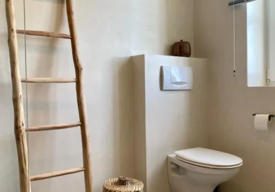toilettes béton cire